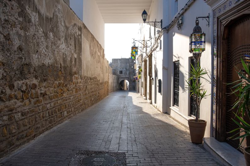Cultural Influences - a narrow alley way with a potted plant on the side